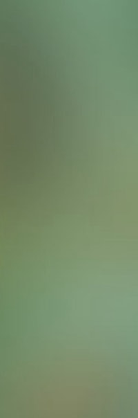 a close up of a flower with a blurred background